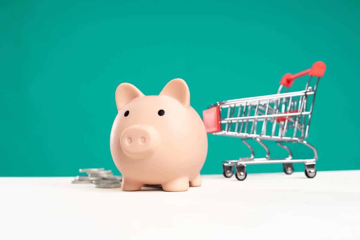budget shopping